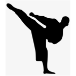 Pixel’s Academy of Martial Arts