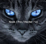 Noob / Pro / Hacker ? x)