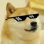 DOGE / CLUB