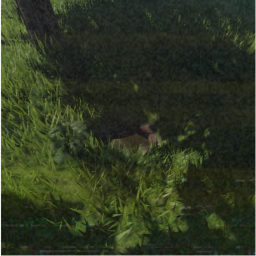 Beneath The Earth