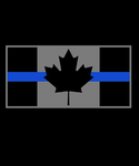 Canadian Law Enforcement Training Institute