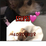 ECLIPS3