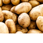 The Best Potato Squad!