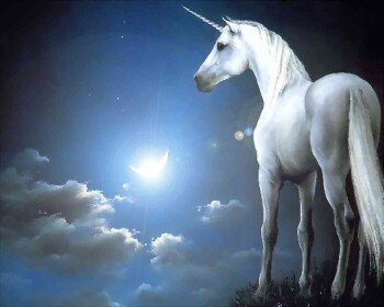 Unicorn Island 