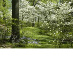 -De West Garden-