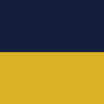 Herzoglich Barunschweigische Corps