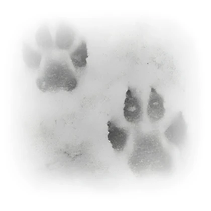 Tokyo Paws' Roblox group icon