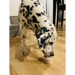 If you like dogs join the group.
