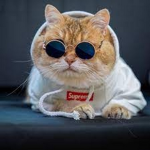 oyen hesmes :>