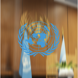 United Nations: Executive Office