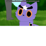 hOT cATS