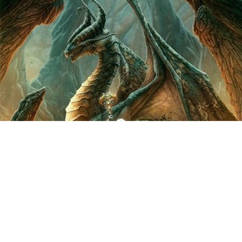 dragons castle