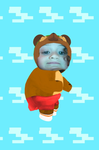 Bob the cute bear.