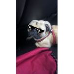 Itzyogirl_alize