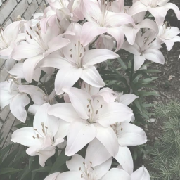 ⸸