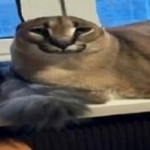 Nub boi