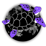 Space Turtle Studios