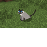 Bloxcat Games
