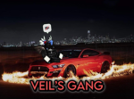 Veil's Gang