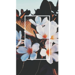 *AestheticDreams*