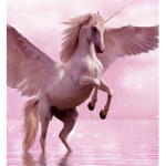 *+Pink Ponies+*