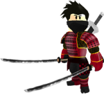 nw34216 ninja