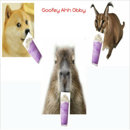 Goofey ahh obby