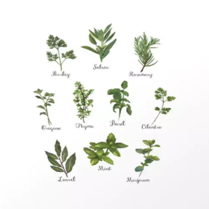 herbs aesthetic Roblox decal