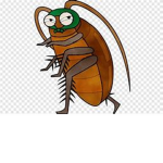 Royal Roach Gang