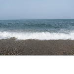 행복 부대