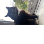 Stormy’s Raindrops!
