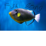 Fish Gang.