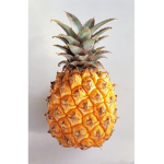 JAZZY PINEAPPLE fan group