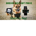 roblox milatary force