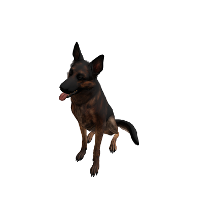 Model