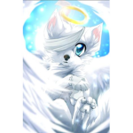 {Angel Wolves}