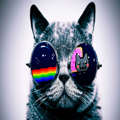 cat Roblox decal