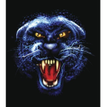 Blue Panther Studios
