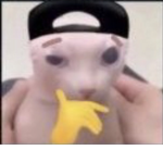AMUNGOS