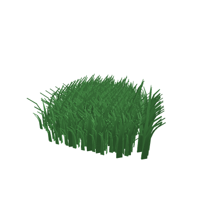 Patch Of Grass