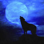 Manada de Lobos [Oficial]