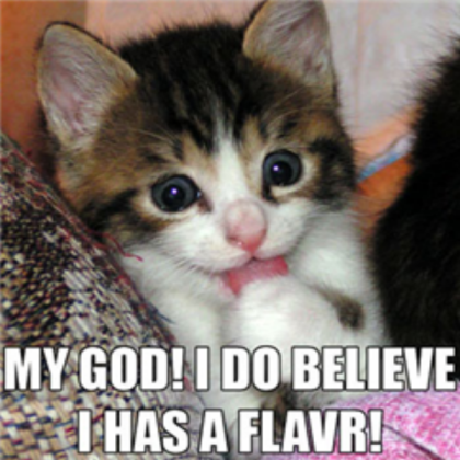 Funny Cat Picture 1 Roblox decal