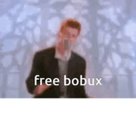 Bobux Inc.
