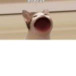 Popcats United we Popcats