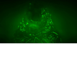 GODZILLA MONSTER UNIVERSE 3 [NEW]
