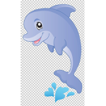 Dolphin Cult-