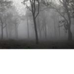 fog embracers
