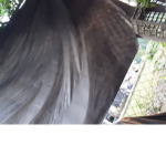 Josette110