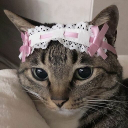 ⊹