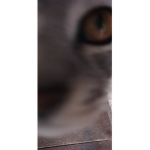 Zjebaki